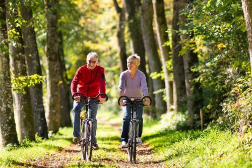 Couple riding bicycles on a forest path