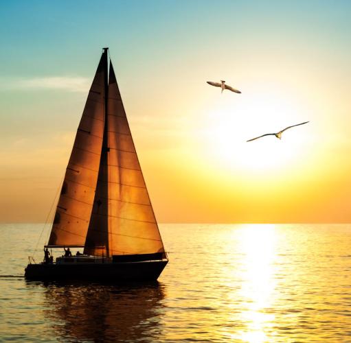 Ocean - Sailboat at sunset with seagulls