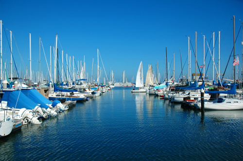 Boats and yachts in a marina 